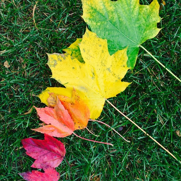 〰️Meet your Posher❤️Wendy〰️ - Picture 7 of 8